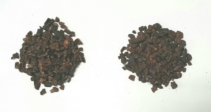 Ecuador cacao nib.jpg